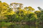Brazil-Pantanal Cuiaba River landscape Art Print